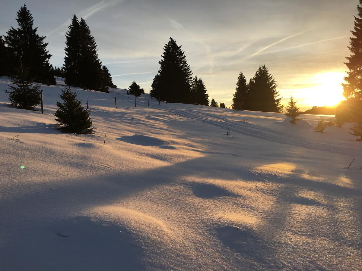 Schwarzwald-Hotel Kraeutle Фельдберг Экстерьер фото